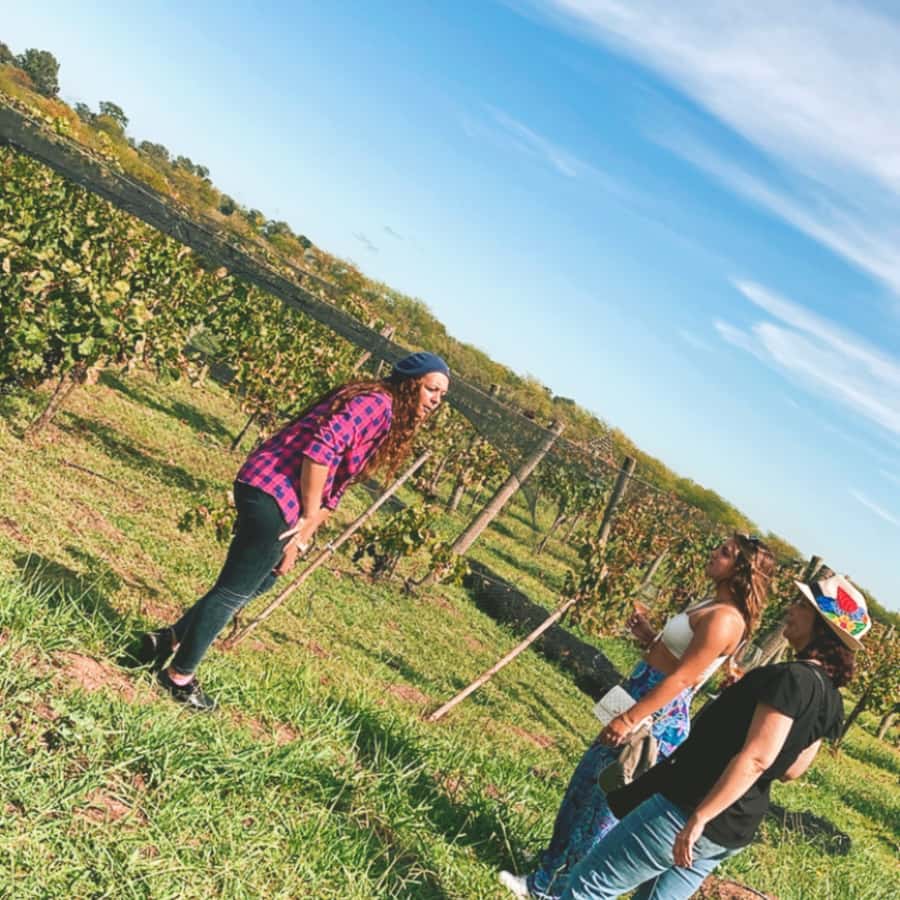 Enjoy a Rural Experience in a Vineyard near Buenos Aires - A vineyard escape within reach of Buenos Aires