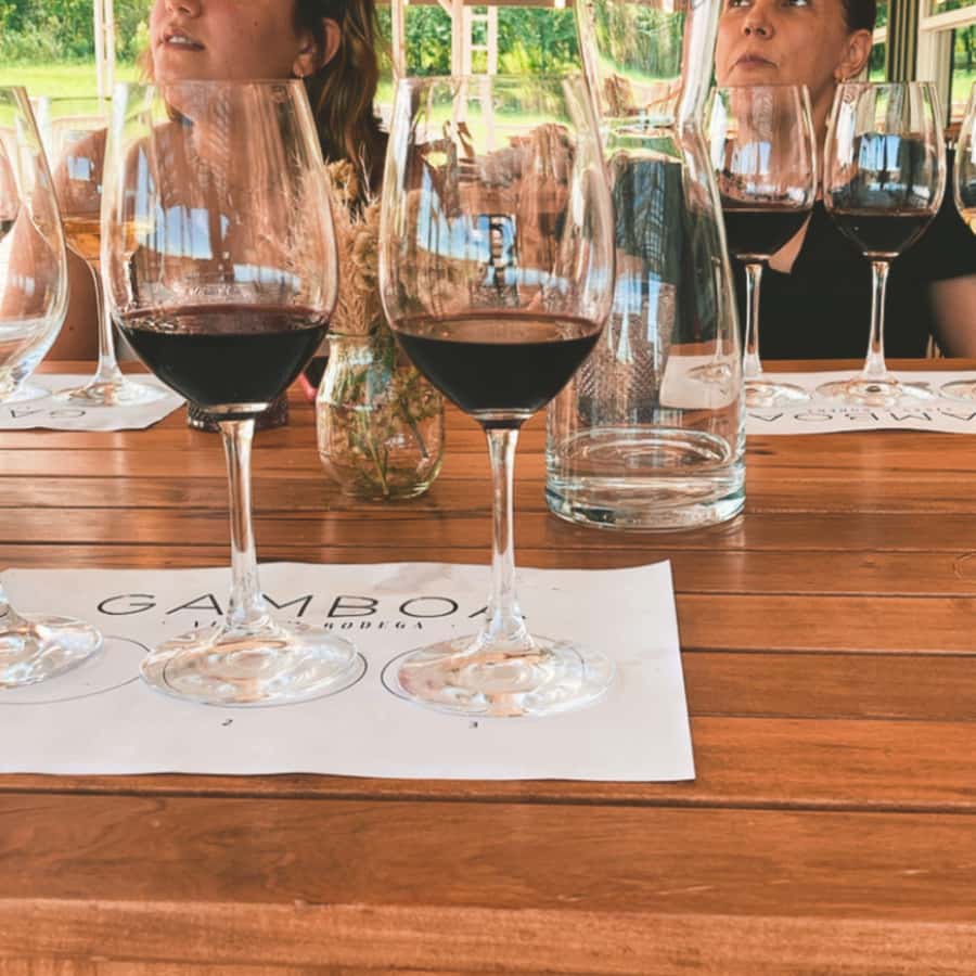 Enjoy a Rural Experience in a Vineyard near Buenos Aires - A four-course lunch in the country restaurant