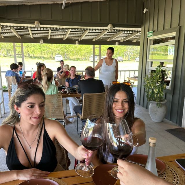 Enjoy a Rural Experience in a Vineyard near Buenos Aires - Heat, comfort, and what to bring