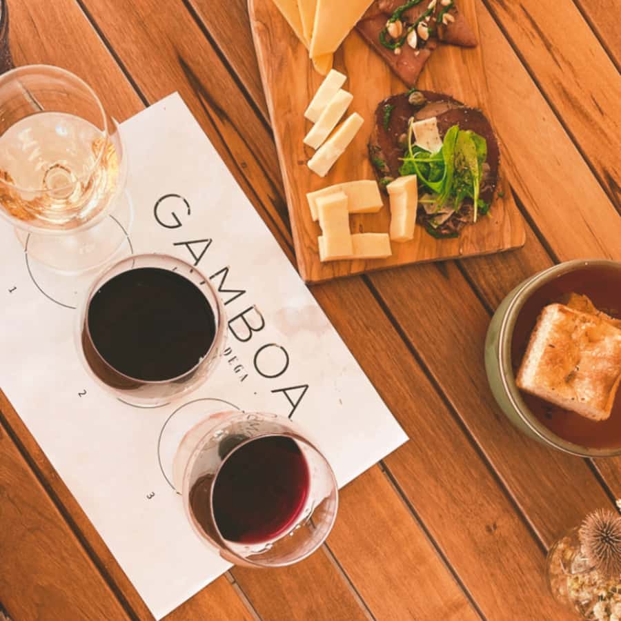 Enjoy a Rural Experience in a Vineyard near Buenos Aires - Private pickup makes the country trip easy