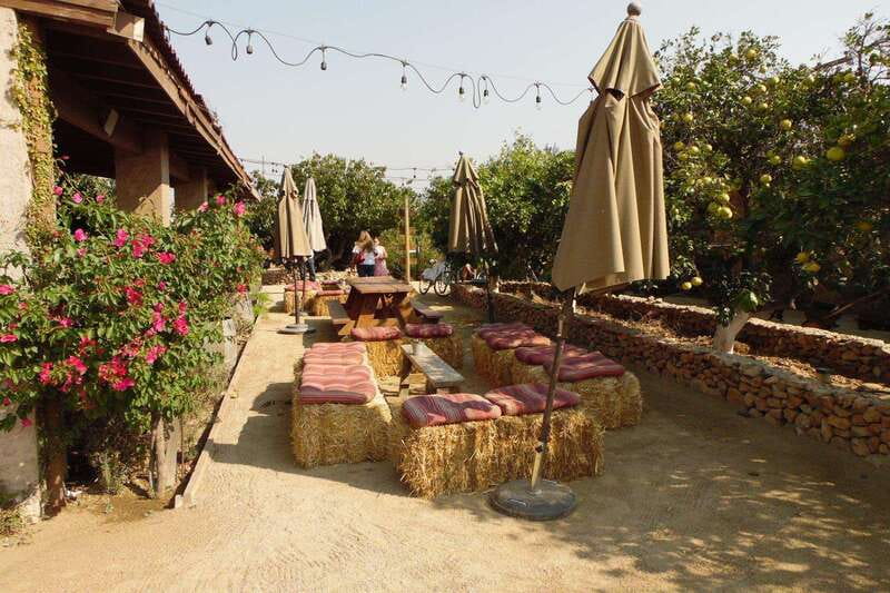 Ensenada: Guadalupe Valley Wine Route Private Tour - Key points to know before booking