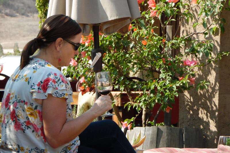 Ensenada: Guadalupe Valley Wine Route Private Tour - Four wineries in six hours