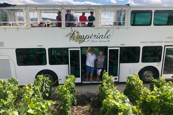 Epernay and Vineyards with Champagne Tasting - What you get for $118.68