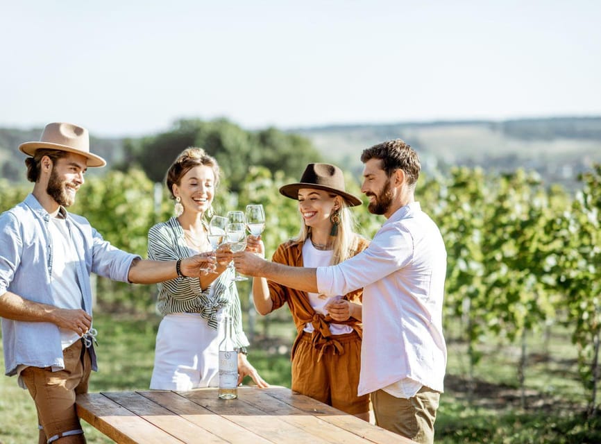 Ercolano vineyards, view cellar wine tasting and brunch - Key points to know before you book