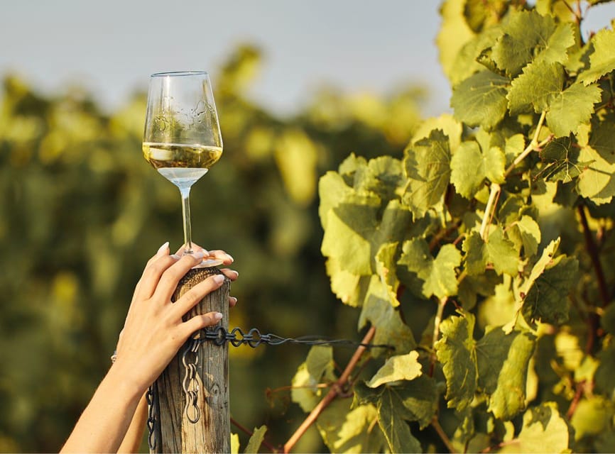Ercolano vineyards, view cellar wine tasting and brunch - Entering the lava-stone cellar