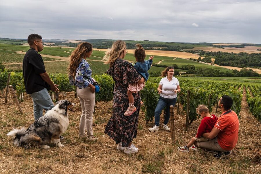 Escapade and tasting in the Chablis vineyards - Key points at a glance