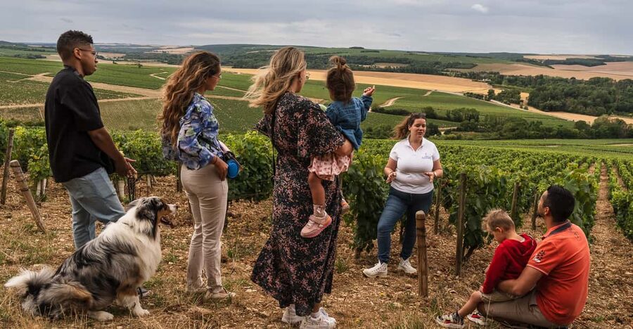 Escapade and tasting in the Chablis vineyards - From the tasting cellar to the vineyard plots