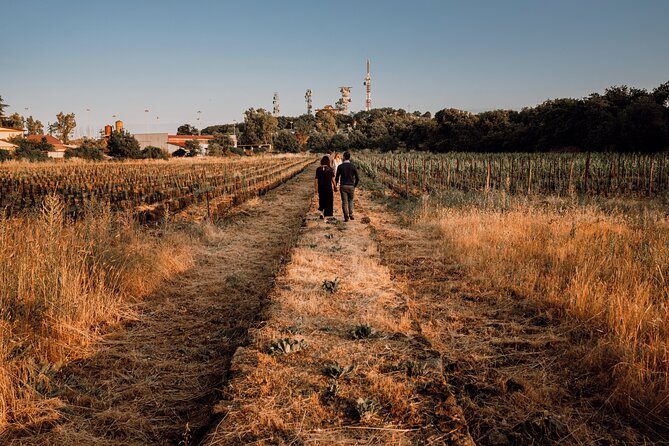 Etna Urban Winery - Sunset vineyard Walk and Tasting Dinner - Four Etna wines paired with four small plates