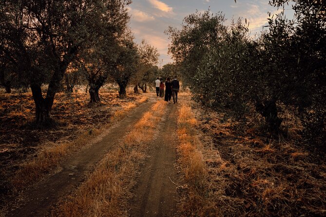 Etna Urban Winery - Sunset vineyard Walk and Tasting Dinner - Sunset timing and the evening setting
