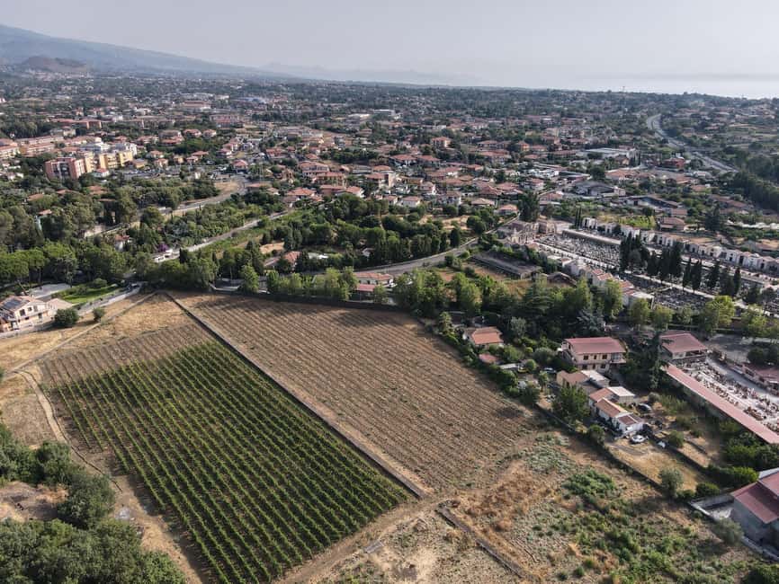 Etna Urban Winery, Vineyard Walk & Sunset Tasting Dinner - Should you book Etna Urban Winery?