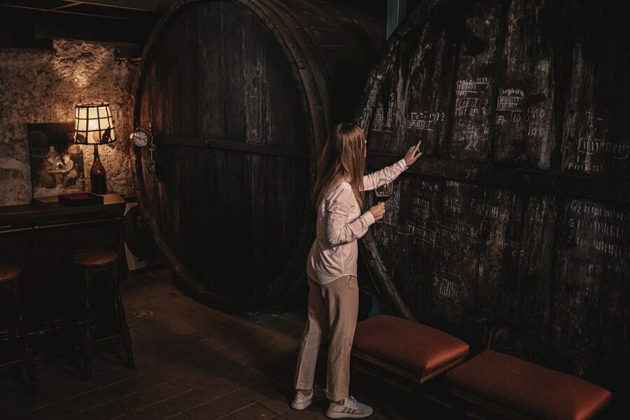 Etna Urban Winery, Vineyard Walk & Sunset Tasting Dinner - Meeting the family winery at 1790