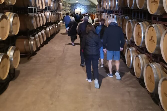 Évora Private Tour - Cork Factory and Wine Estate Included - Cartuxa brings Alentejo wine into the picture
