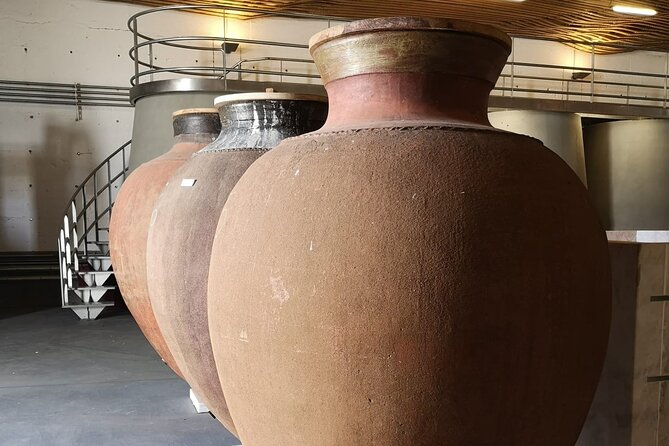 Évora Private Tour - Cork Factory and Wine Estate Included - Climbing to Évora Cathedral