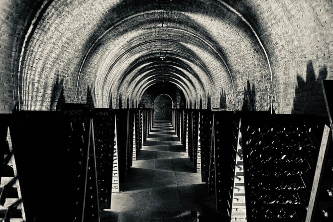 Exclusive Champagne Cellars & Dom Perignon Vineyards tour - Walking the Avenue de Champagne