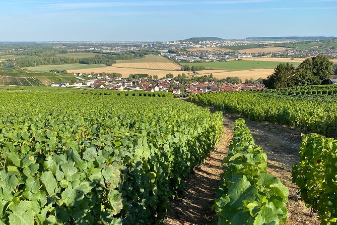 Exclusive Champagne Cellars & Dom Perignon Vineyards tour - Visiting Hautvillers and Dom Pérignon’s village