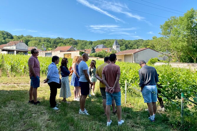 Exclusive Champagne Cellars & Dom Perignon Vineyards tour - What the guide adds to the day