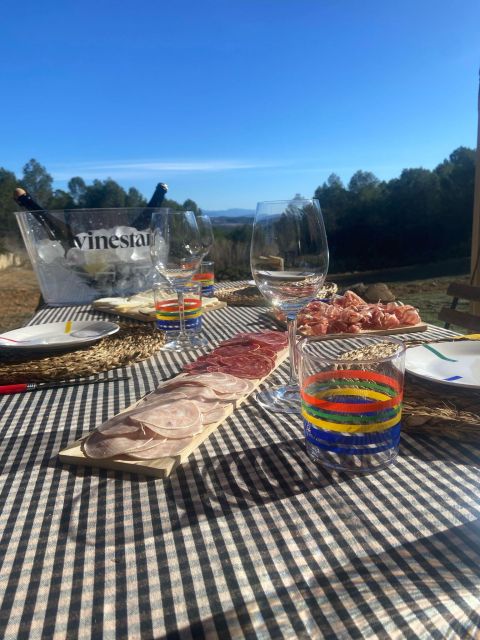 Exclusive Penedes wine tour & brunch in the vineyard - A private Penedes day built around the vines