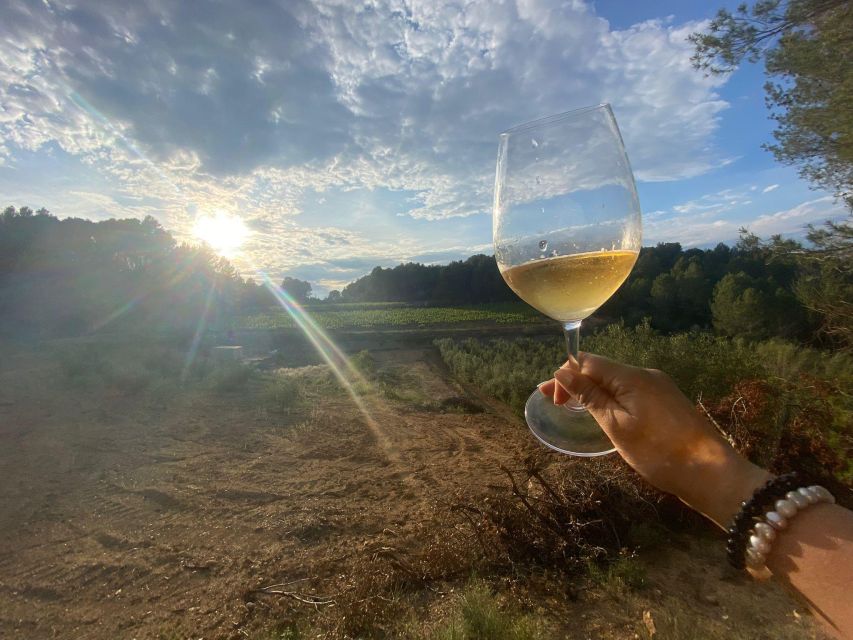 Exclusive Penedes wine tour & brunch in the vineyard - Starting at Sant Sadurni d’Anoia station