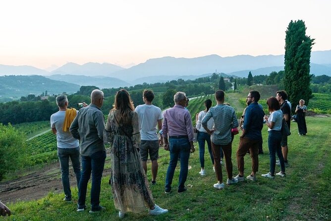 Exclusive Tour of the Vineyards with Visit to the Cellar! - Who will enjoy this private winery visit