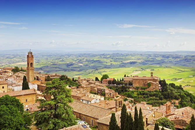 Exclusive Winery Tour with Tasting and Dinner in Chianti vineyard - What the $144.18 price really covers