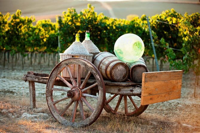 Exclusive Winery Tour with Tasting and Dinner in Chianti vineyard - The late schedule is the main drawback