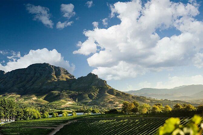 Experience 16 Wine Tasting & 6 Cheese Pairing across 3 Vineyards - Lanzerac: history, gardens, and classic estate style