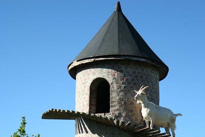Experience 16 Wine Tasting & 6 Cheese Pairing across 3 Vineyards - What private transportation changes