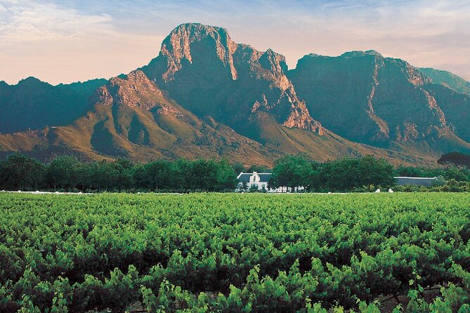 Experience 16 Wine Tasting & 6 Cheese Pairing across 3 Vineyards - What is included, and what is not