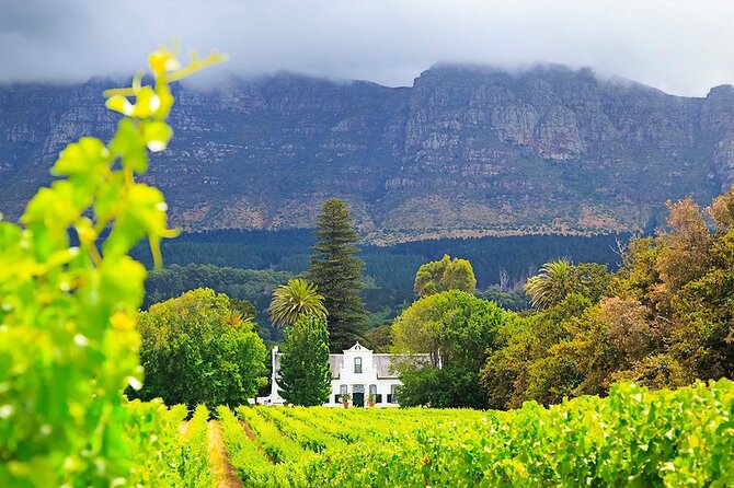 Experience 16 Wine Tasting & 6 Cheese Pairing across 3 Vineyards - Booking, weather, and cancellation details