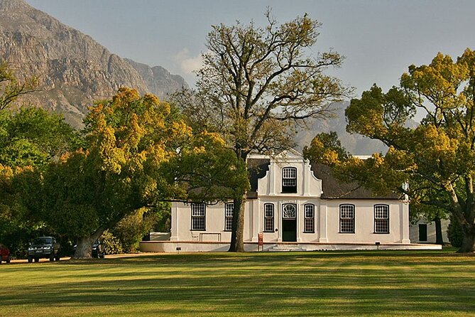 Experience 16 Wine Tasting & 6 Cheese Pairing across 3 Vineyards - Fairview: six cheeses and a busy farm welcome