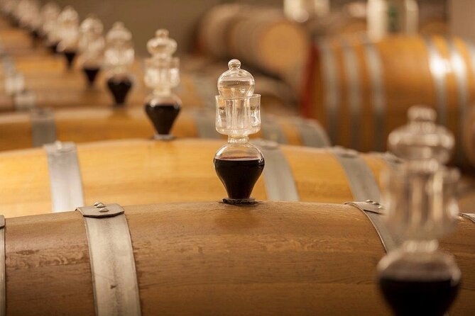 Experience Emilian Wines at Bologna Vineyard Vista - The Classic tasting: three wines in about 90 minutes