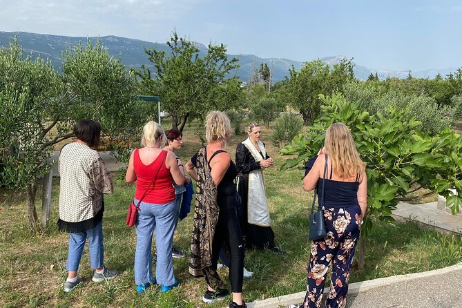 Family-run Vineyard Tour & Award Winning Wine Tasting/Delicacies - Walking among olives, almonds, and vines