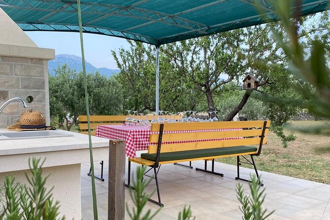 Family-run Vineyard Tour & Award Winning Wine Tasting/Delicacies - Who should book this experience?