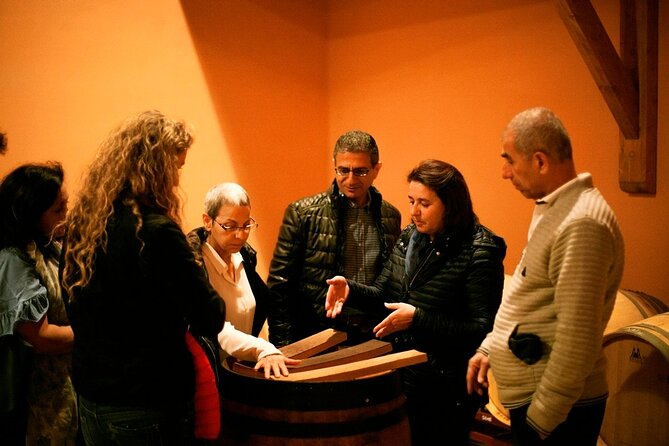 Family winery visit with food - Meeting Leire and learning the Bohedal method