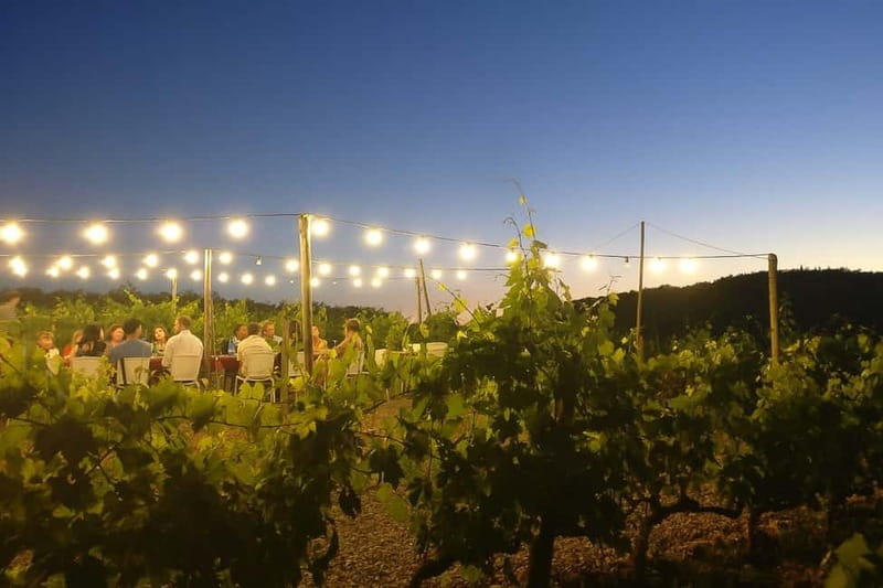 Florence: Chianti Vineyards Tour with Wine Tasting & Dinner - Touring the estate winery