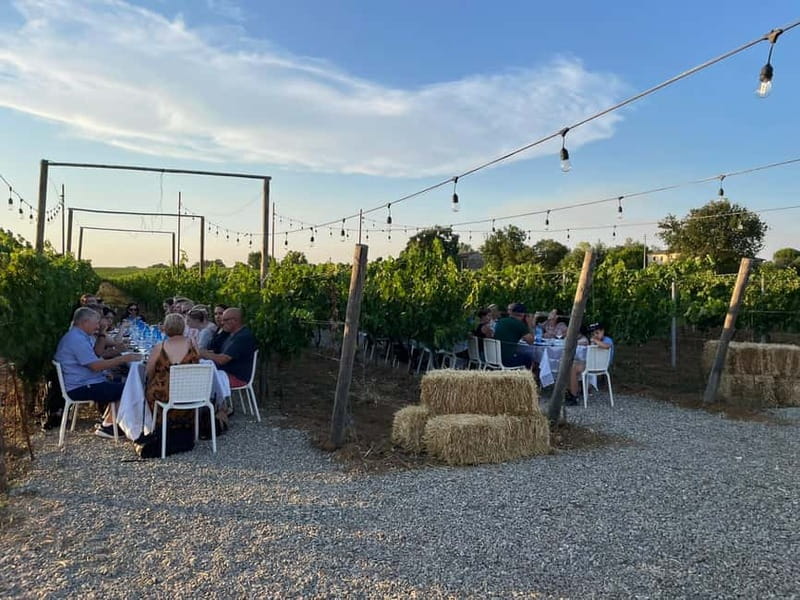 Florence: Chianti Vineyards Tour with Wine Tasting & Dinner - Group size, pace, and atmosphere