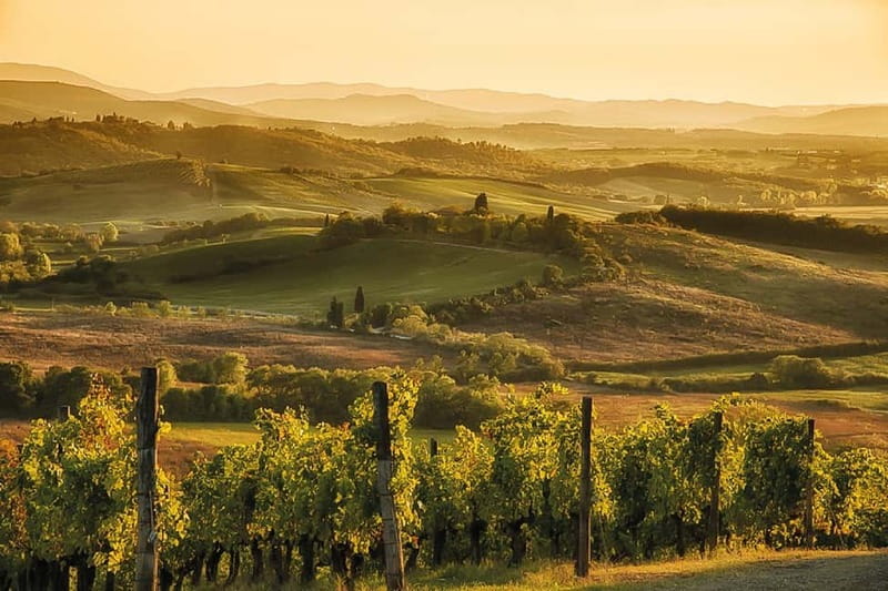 Florence: Chianti Vineyards Tour with Wine Tasting & Dinner - Who should book this experience