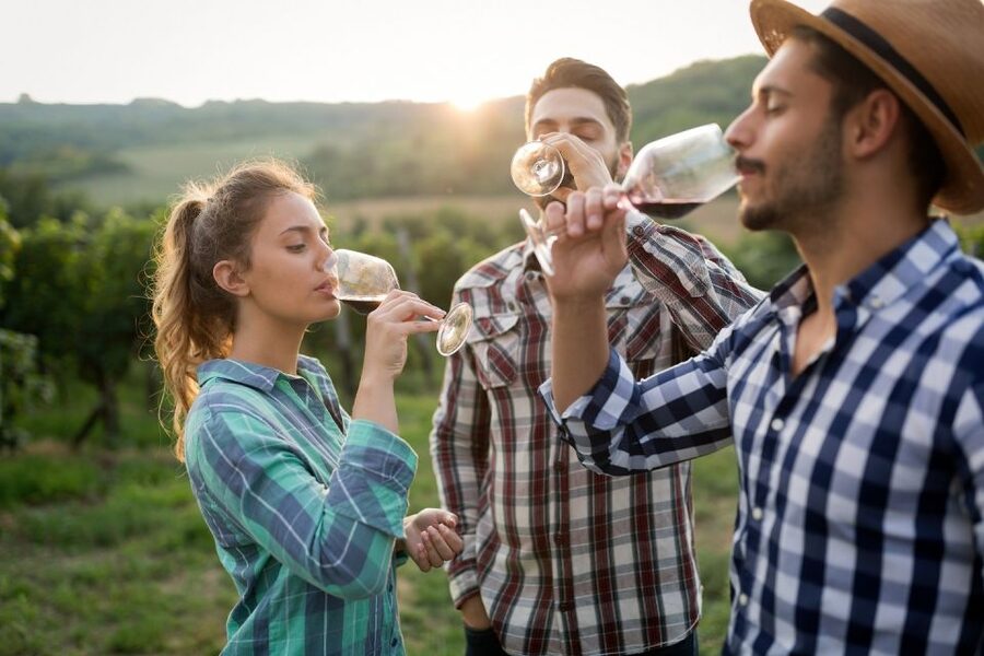 Florence: Private full day tour to Chianti Wine Region - Key points to know before booking