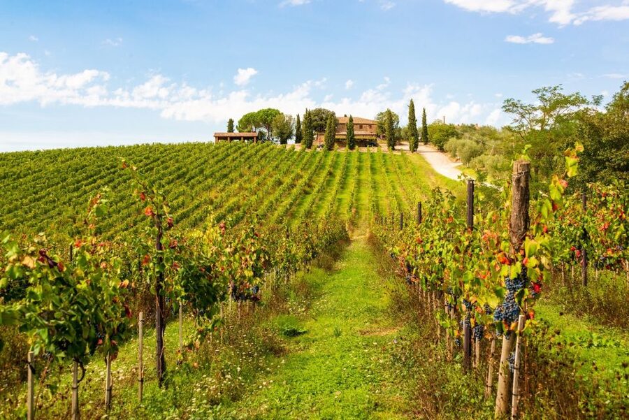 Florence: Private full day tour to Chianti Wine Region - Leaving Florence for the Chianti hills