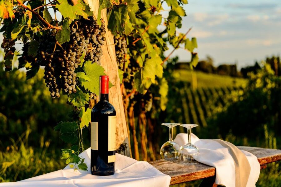 Florence: Private full day tour to Chianti Wine Region - Panzano and Montefioralle at your own pace