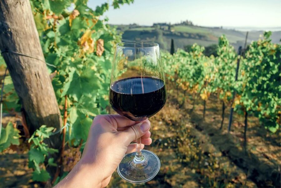 Florence: Private full day tour to Chianti Wine Region - What the eight-hour format really gives you