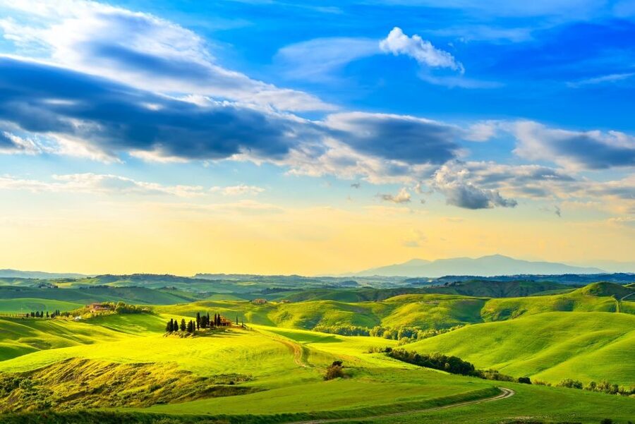 Florence: Private full day tour to Chianti Wine Region - The guide question: chauffeur, not walking expert