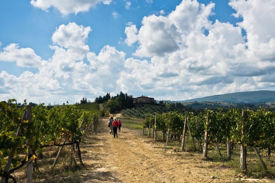 Florence: Private full day tour to Chianti Wine Region - Greve: Chianti’s practical first stop