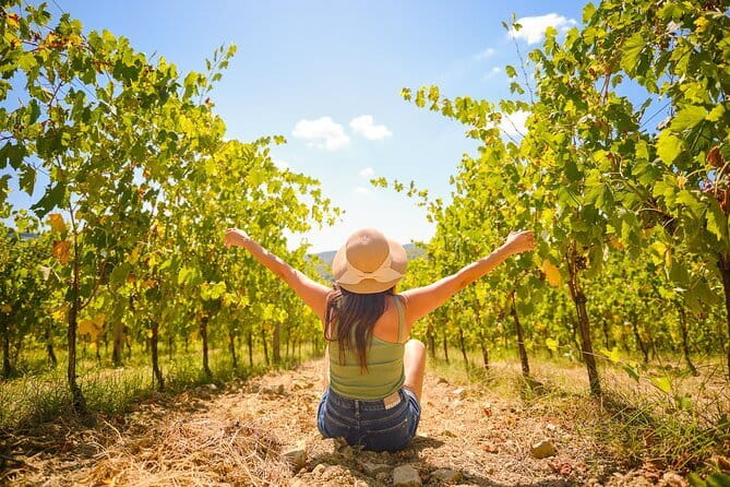 Florence: Private Half-Day Chianti Tour and Wine Tasting Optional - The value of a private driver
