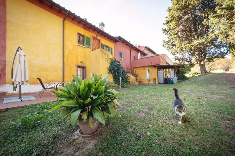Florence: Wine Tasting at a Vineyard With a Local Winemaker - From Florence to Podere dell’Anselmo