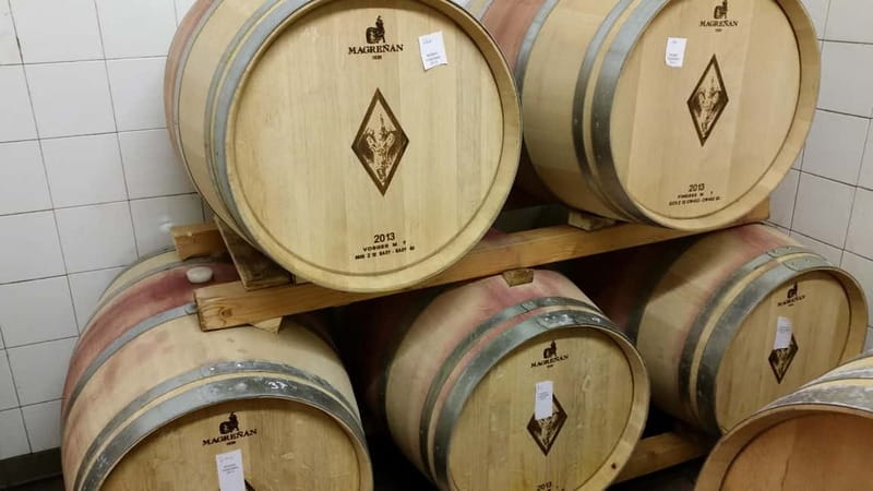 Florence: Wine Tasting at a Vineyard With a Local Winemaker - Is $47 a good value?