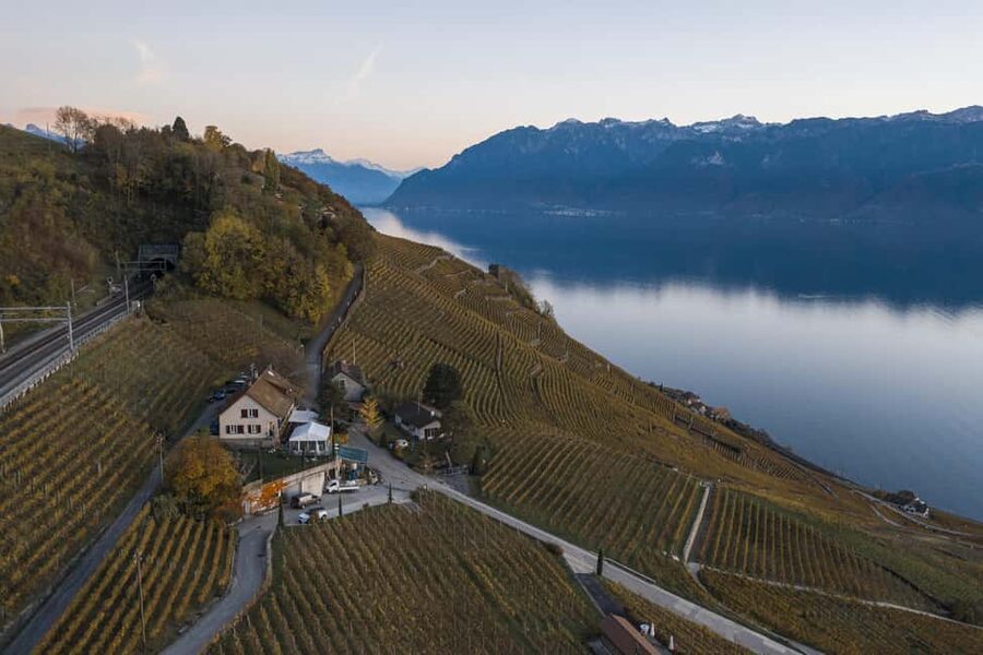 Fondue in the heart of the Lavaux vineyard - The wine tasting and local grape story