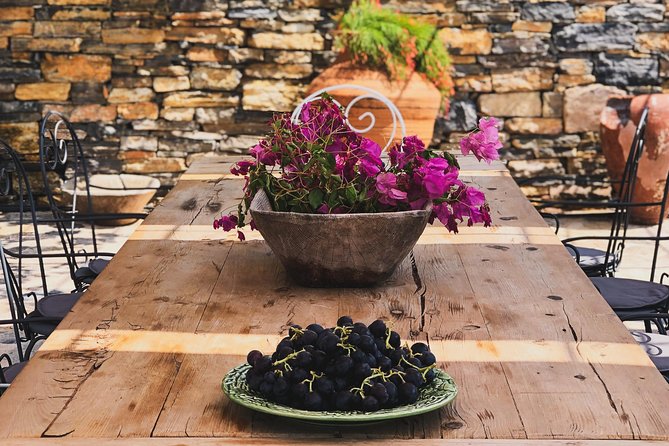 Food and Wine pairing Dinner at Karnas Vineyards Bodrum - Who will enjoy Karnas Vineyards most?