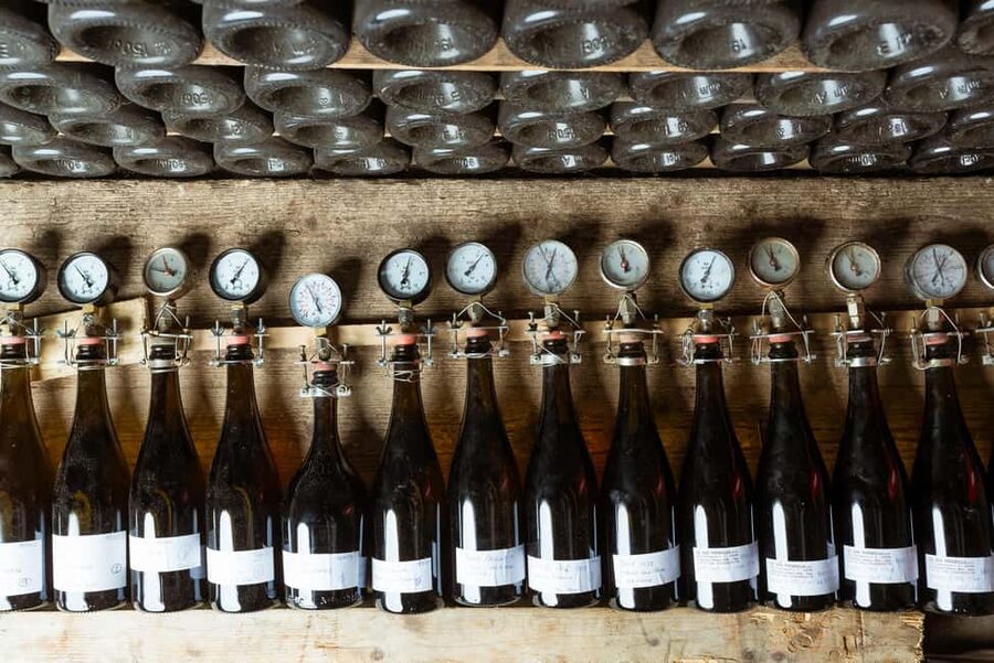 Franciacorta: visit the vineyard, cellar, and enjoy an Edea To tasting - Key points at a glance