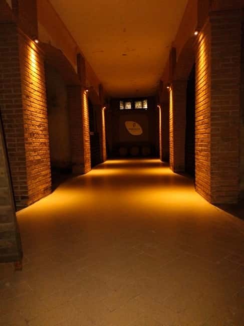 Franciacorta: visit the vineyard, cellar, and enjoy an Edea To tasting - Why this Mirabella visit works